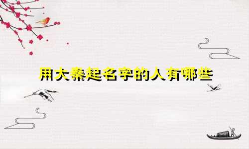 用大秦起名字的人有哪些
