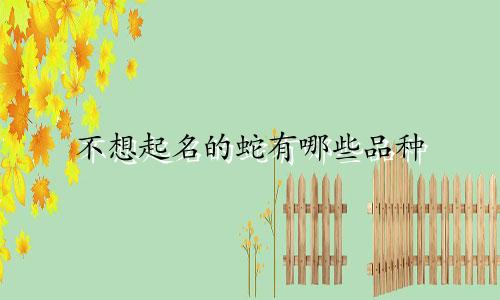 不想起名的蛇有哪些品种