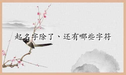 起名字除了丶还有哪些字符