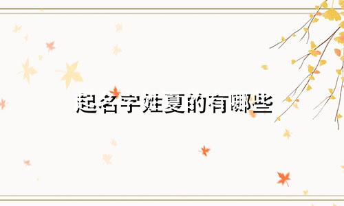 起名字姓夏的有哪些