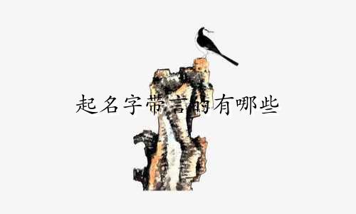 起名字带言的有哪些