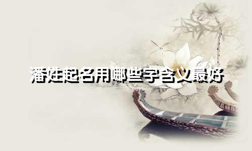 潘姓起名用哪些字含义最好