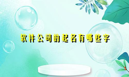 软件公司的起名有哪些字