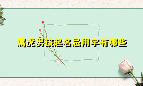 属虎男孩起名忌用字有哪些