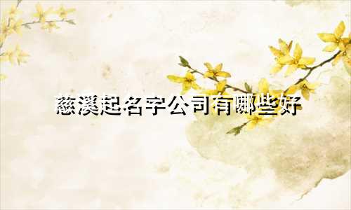 慈溪起名字公司有哪些好