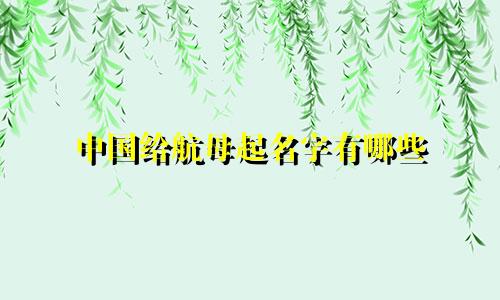 中国给航母起名字有哪些