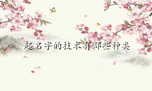 起名字的技术有哪些种类