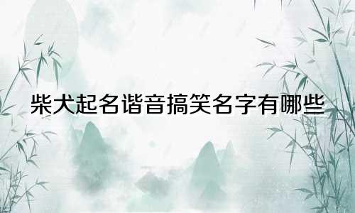 柴犬起名谐音搞笑名字有哪些