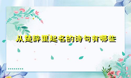 从楚辞里起名的诗句有哪些