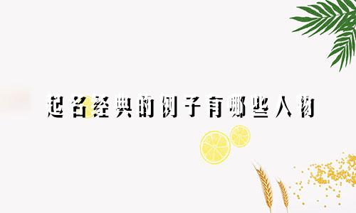 起名经典的例子有哪些人物