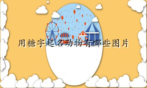 用糖字起名动物有哪些图片
