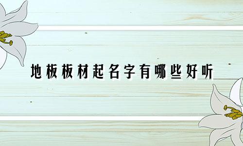 地板板材起名字有哪些好听