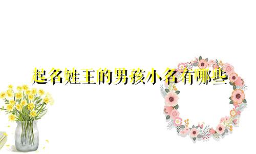 起名姓王的男孩小名有哪些