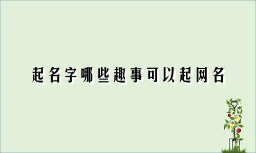 起名字哪些趣事可以起网名