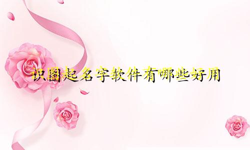 识图起名字软件有哪些好用