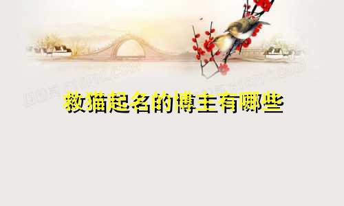救猫起名的博主有哪些