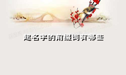 起名字的前缀词有哪些