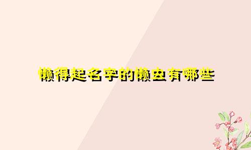 懒得起名字的懒虫有哪些