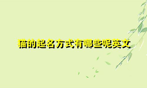 猫的起名方式有哪些呢英文