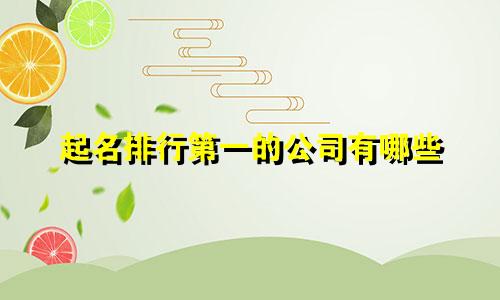 起名排行第一的公司有哪些