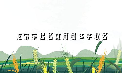 龙宝宝起名宜用哪些字取名