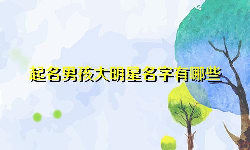 起名男孩大明星名字有哪些