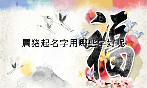 属猪起名字用哪些字好呢