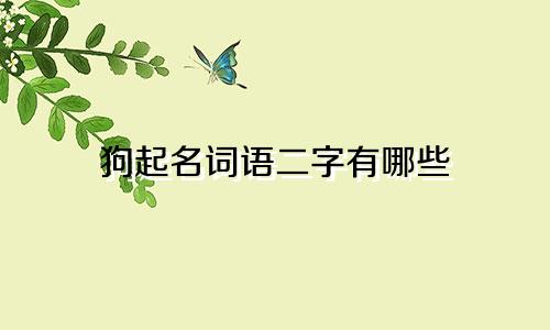 狗起名词语二字有哪些