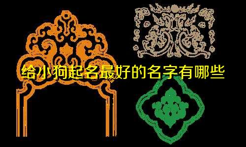 给小狗起名最好的名字有哪些