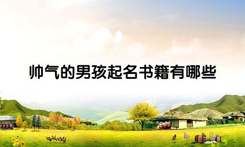 帅气的男孩起名书籍有哪些