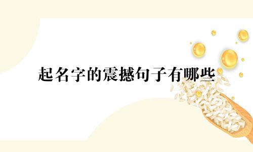 起名字的震撼句子有哪些