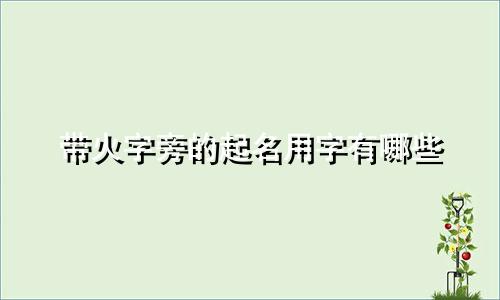 带火字旁的起名用字有哪些