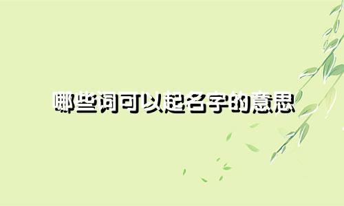 哪些词可以起名字的意思