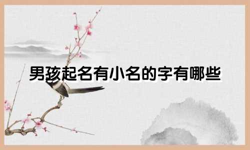 男孩起名有小名的字有哪些