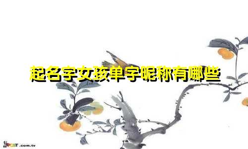 起名字女孩单字昵称有哪些