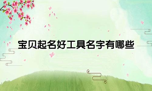 宝贝起名好工具名字有哪些