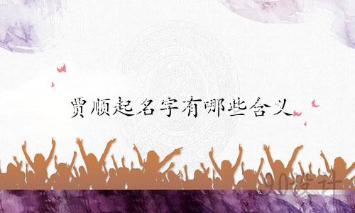 贾顺起名字有哪些含义