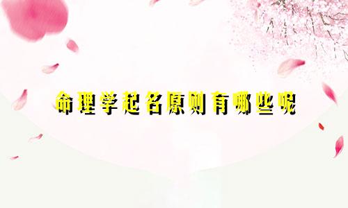 命理学起名原则有哪些呢