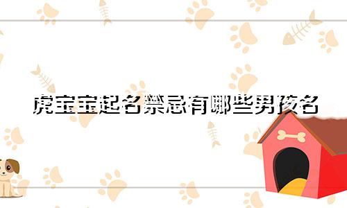 虎宝宝起名禁忌有哪些男孩名