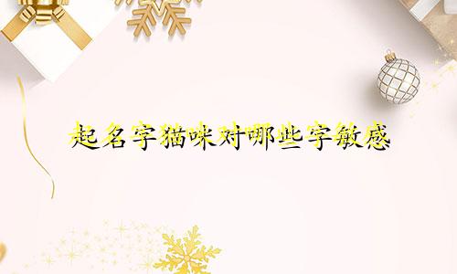 起名字猫咪对哪些字敏感