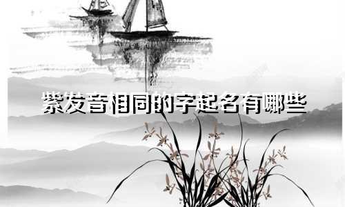 紫发音相同的字起名有哪些