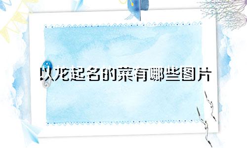 以龙起名的菜有哪些图片