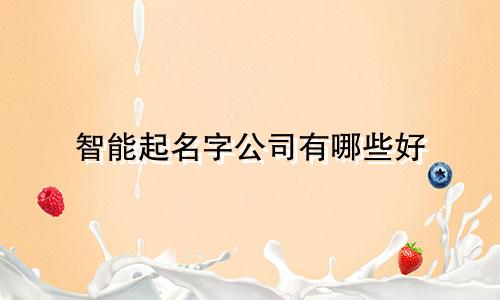 智能起名字公司有哪些好
