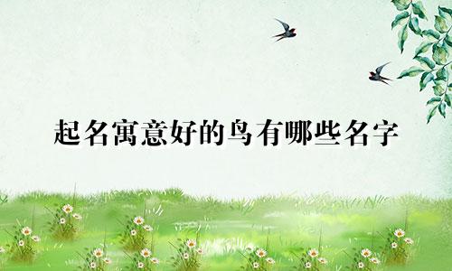 起名寓意好的鸟有哪些名字