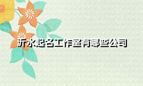 沂水起名工作室有哪些公司