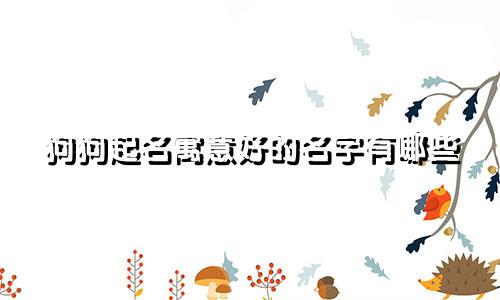 狗狗起名寓意好的名字有哪些