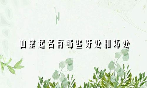 仙堂起名有哪些好处和坏处