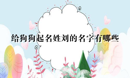 给狗狗起名姓刘的名字有哪些