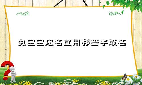 兔宝宝起名宜用哪些字取名
