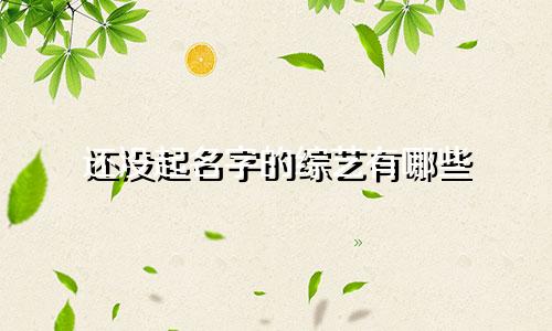 还没起名字的综艺有哪些